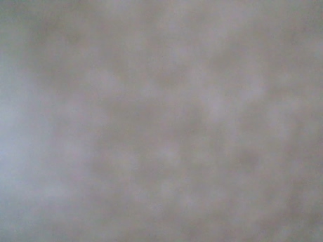 NorthMarine  24-03-2022
